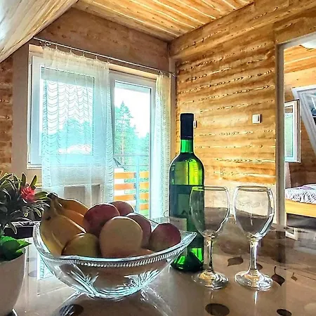 Appartement Rajski Bor Tara 2 Jednosoban